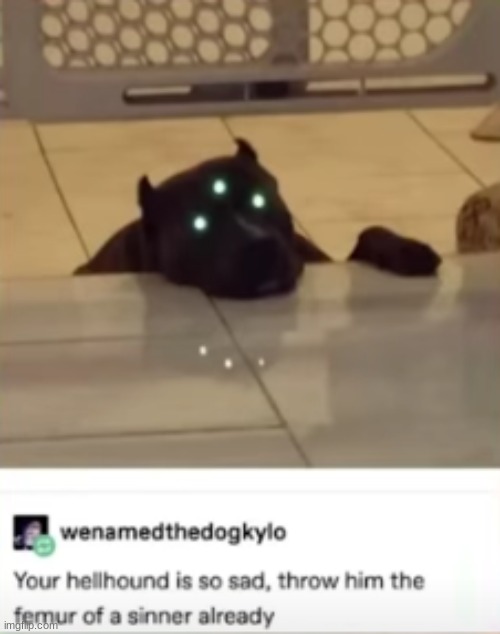 wholesome to cursed, (throw him the sinners bone already!) Imgflip