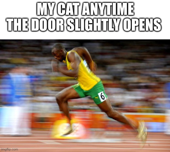Usain Bolt Imgflip