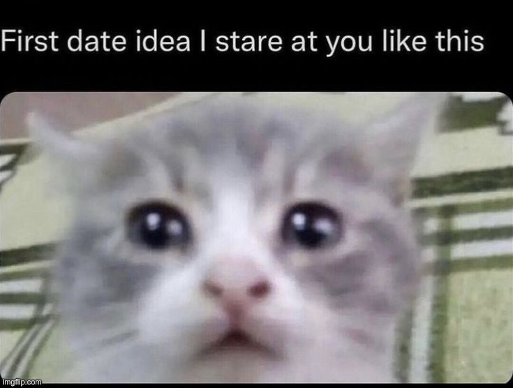 Image tagged in memes Imgflip