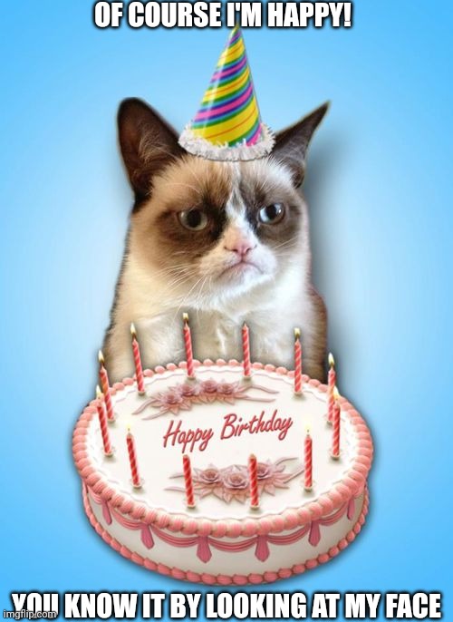 Happy Birthday Grumpy Cat Meme