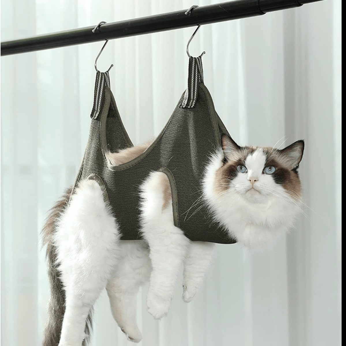 Hammock Cat Blank Template Imgflip