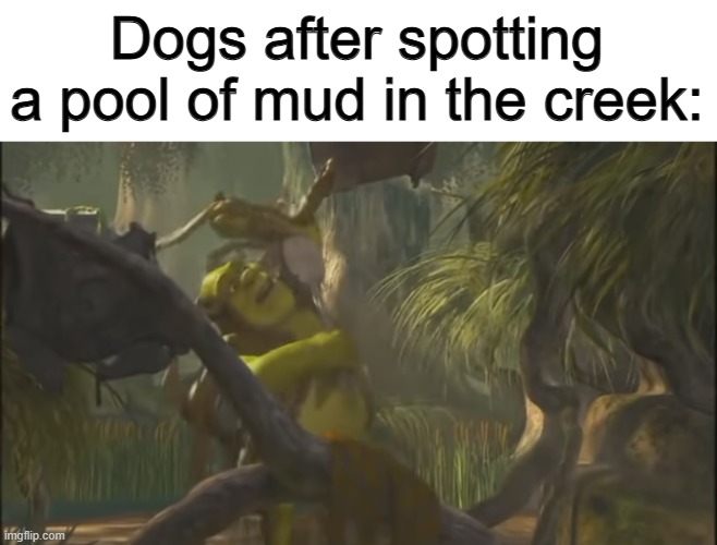 dogs Memes & GIFs Imgflip