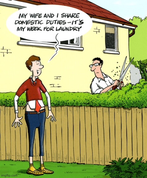 Share domestic duties Imgflip