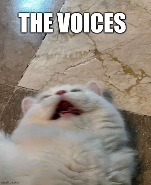 The voices Imgflip