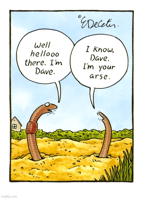 Heads and tails Imgflip