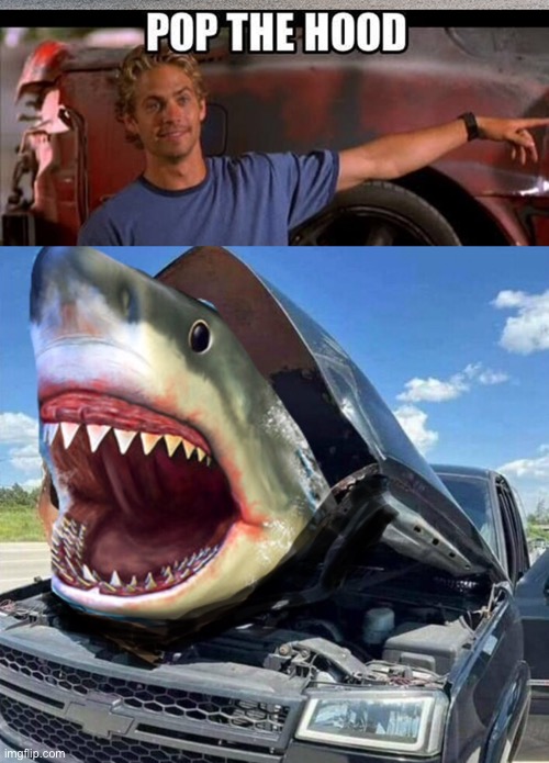 Jaw dropping Imgflip