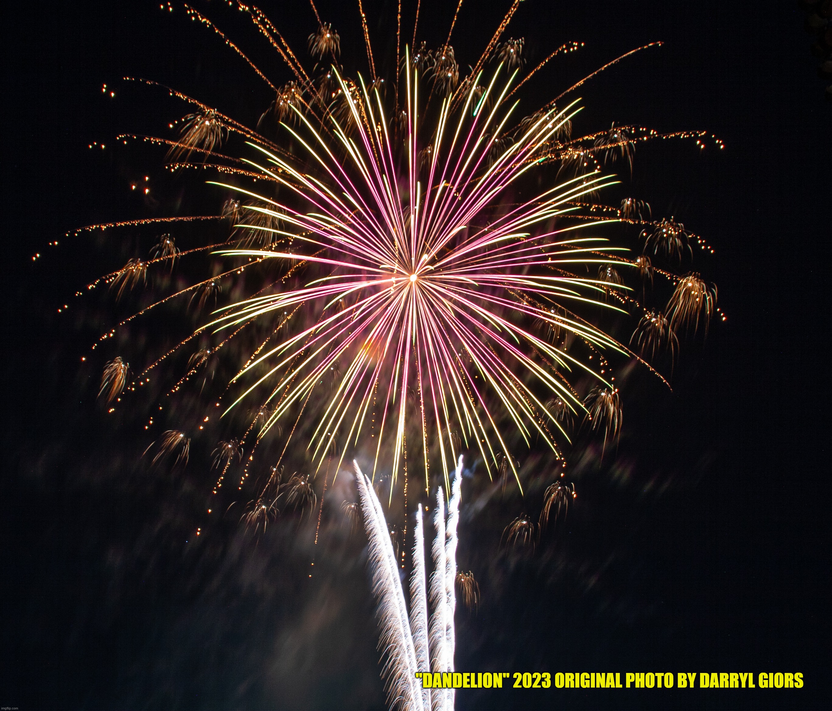 Dandelion from July 3rd City of Lynwood fireworks display Imgflip