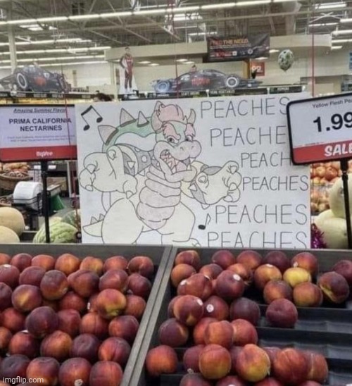 Image tagged in nintendo,bowser,memes,peaches Imgflip