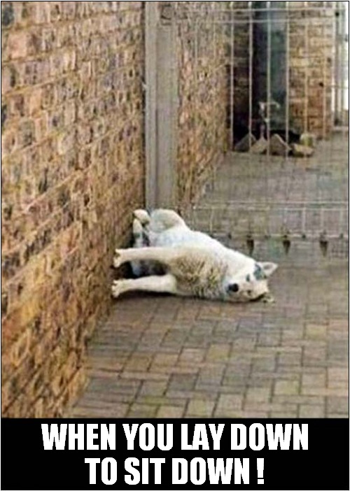 A Strange Position ? Imgflip