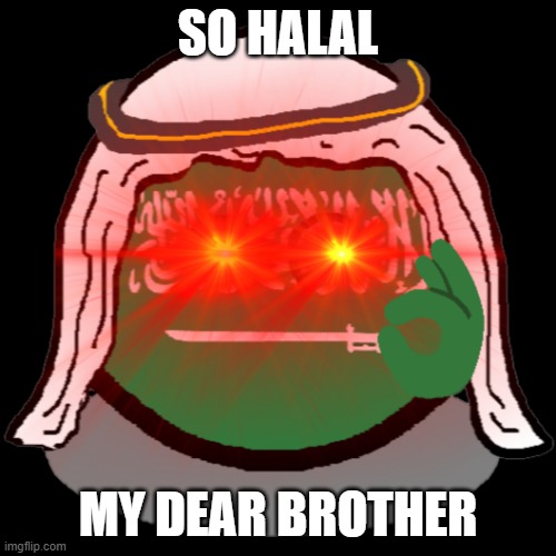 SO HALAL MY DEAR BROTHER Imgflip