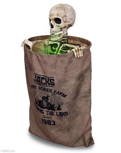 Bag O' Bones Imgflip