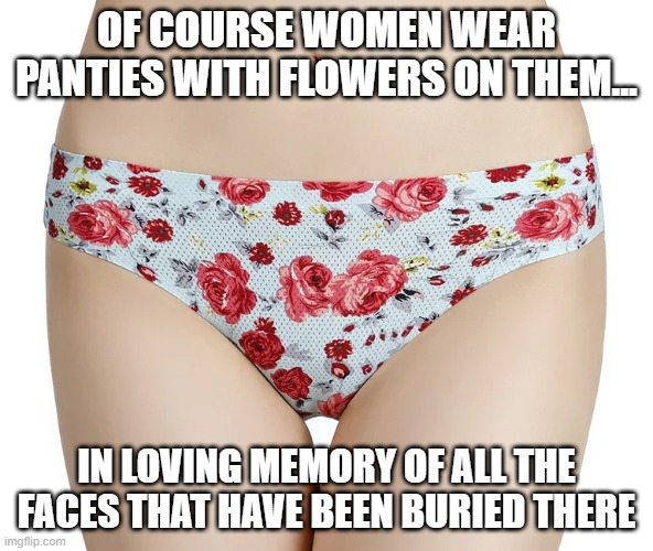 Flowery Panties Imgflip