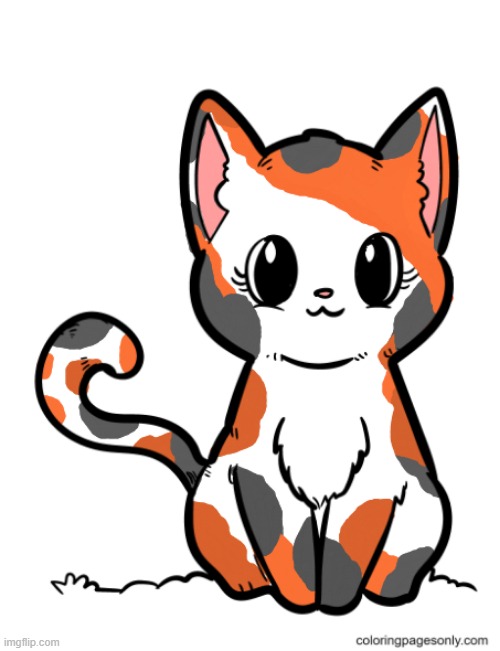 calico cat Imgflip