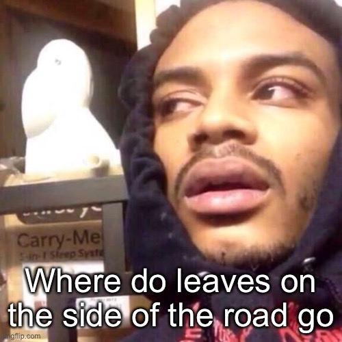 Coffee enema high thoughts Imgflip