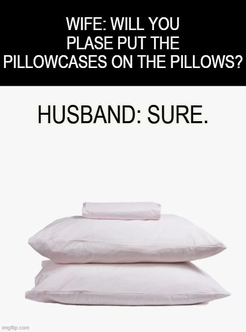 Image tagged in memes,fun,husband wife,pillow,cover,please help me