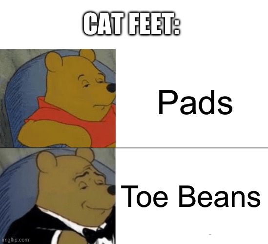Tuxedo Winnie The Pooh Meme Imgflip