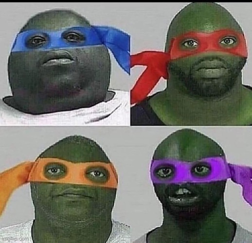 Teenage mutant ninja turtles irl Imgflip