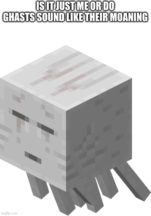 if you dont know what a ghast sounds like go google it) Imgflip