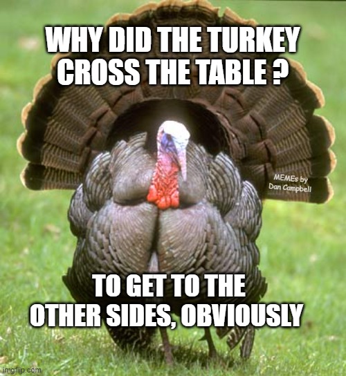 Turkey Meme Imgflip