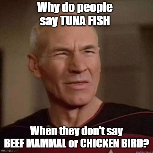 Why do people say TUNA FISH? Imgflip