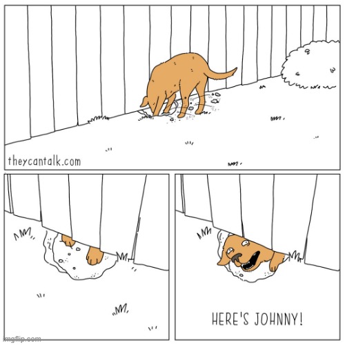 You better not pee on my flowers again _ Imgflip