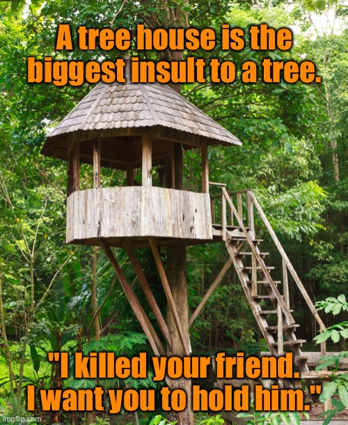 Insult to a tree Imgflip