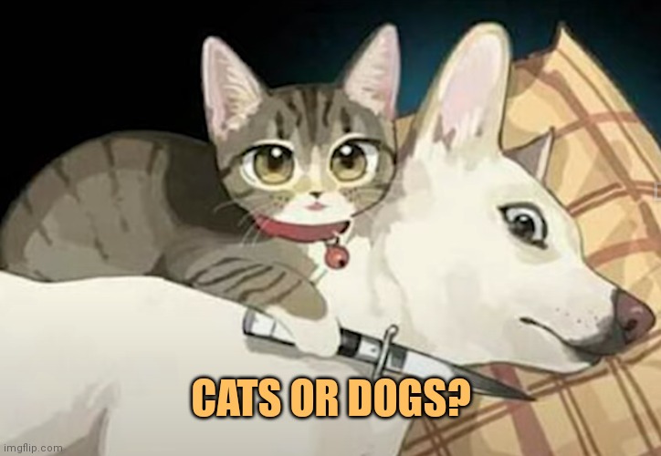 Image tagged in cat holding dog hostage art Imgflip