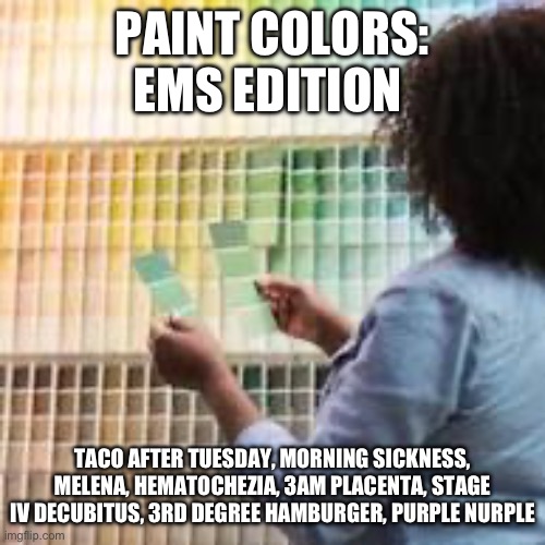 EMS paint colors Imgflip