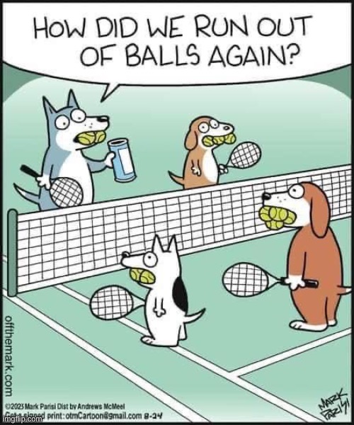 Tennis dogs Imgflip