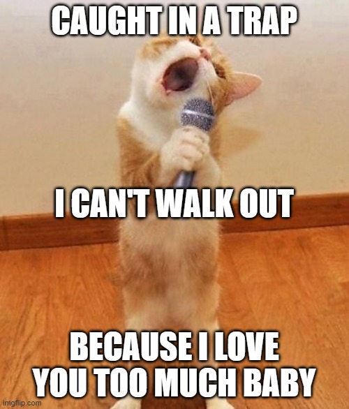 Caught in a trap Imgflip