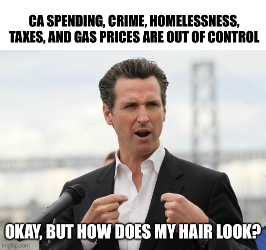 Newsom Meme Imgflip