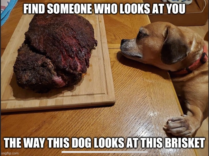 Dog brisket Imgflip