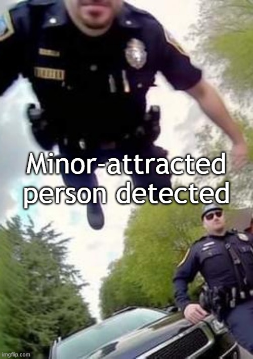 MinorAttracted Person Detected Imgflip