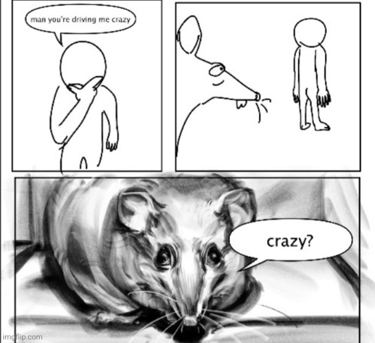 Crazy? I was crazy once. They locked me in a room, a rubber room, a