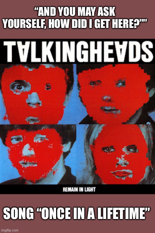 A Cat Through Coat Hangers ! Imgflip