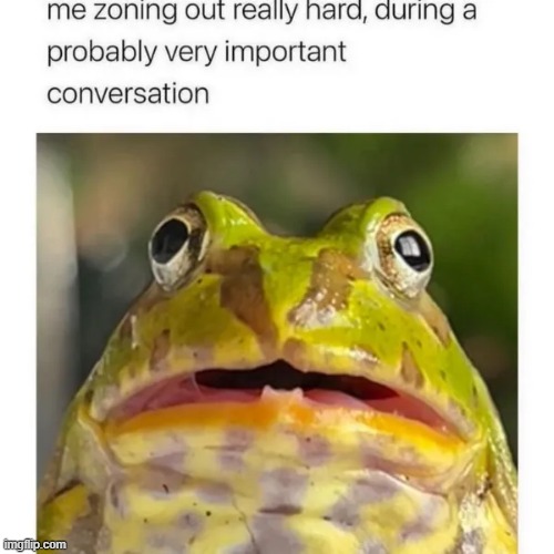 Image tagged in frogs Imgflip