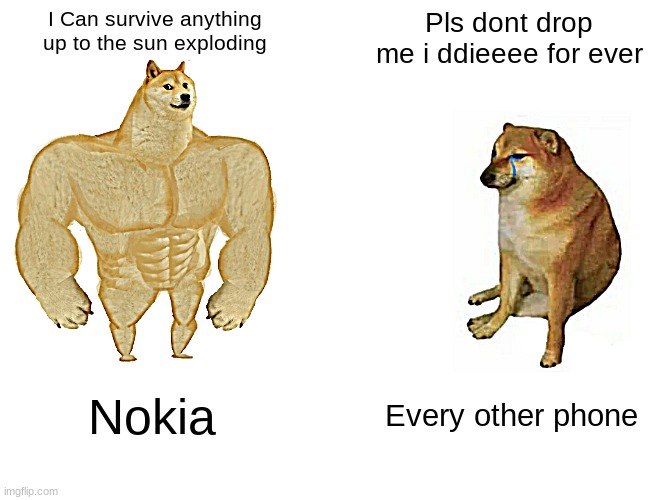 Buff Doge vs. Cheems Meme Imgflip