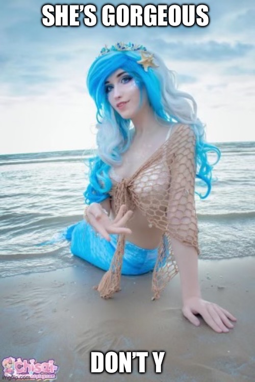 Mermaid Imgflip