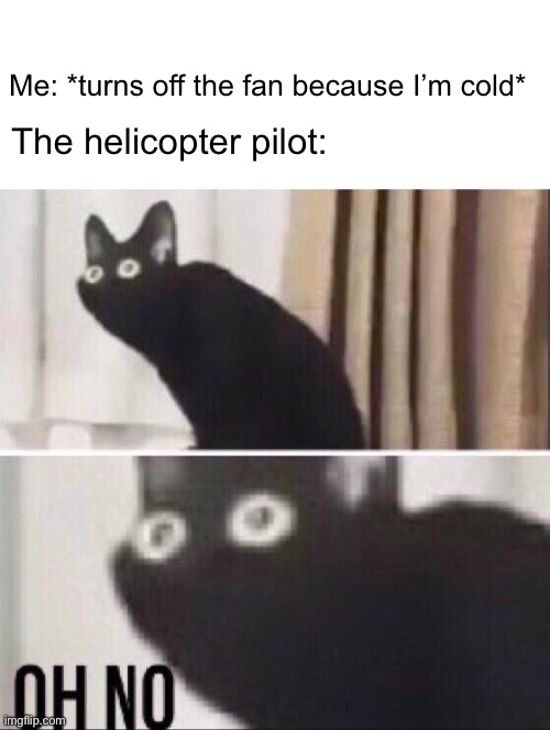 Oh no cat Imgflip