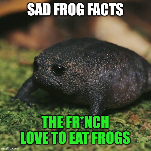 Important frog facts Imgflip