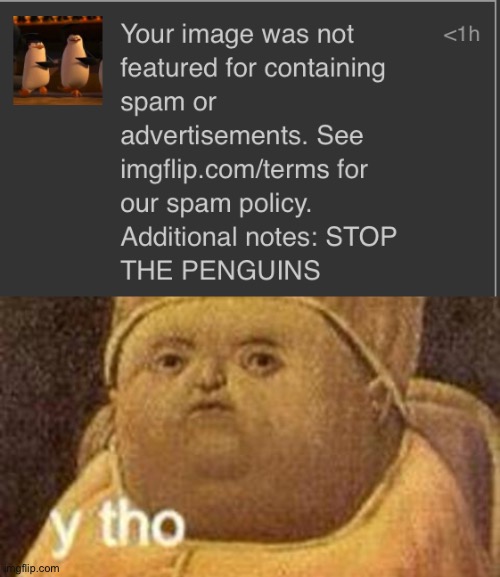 But they’re the best animal Imgflip