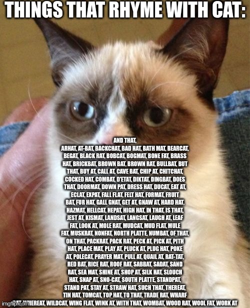 things that rhyme with cat (Pt 2) Imgflip