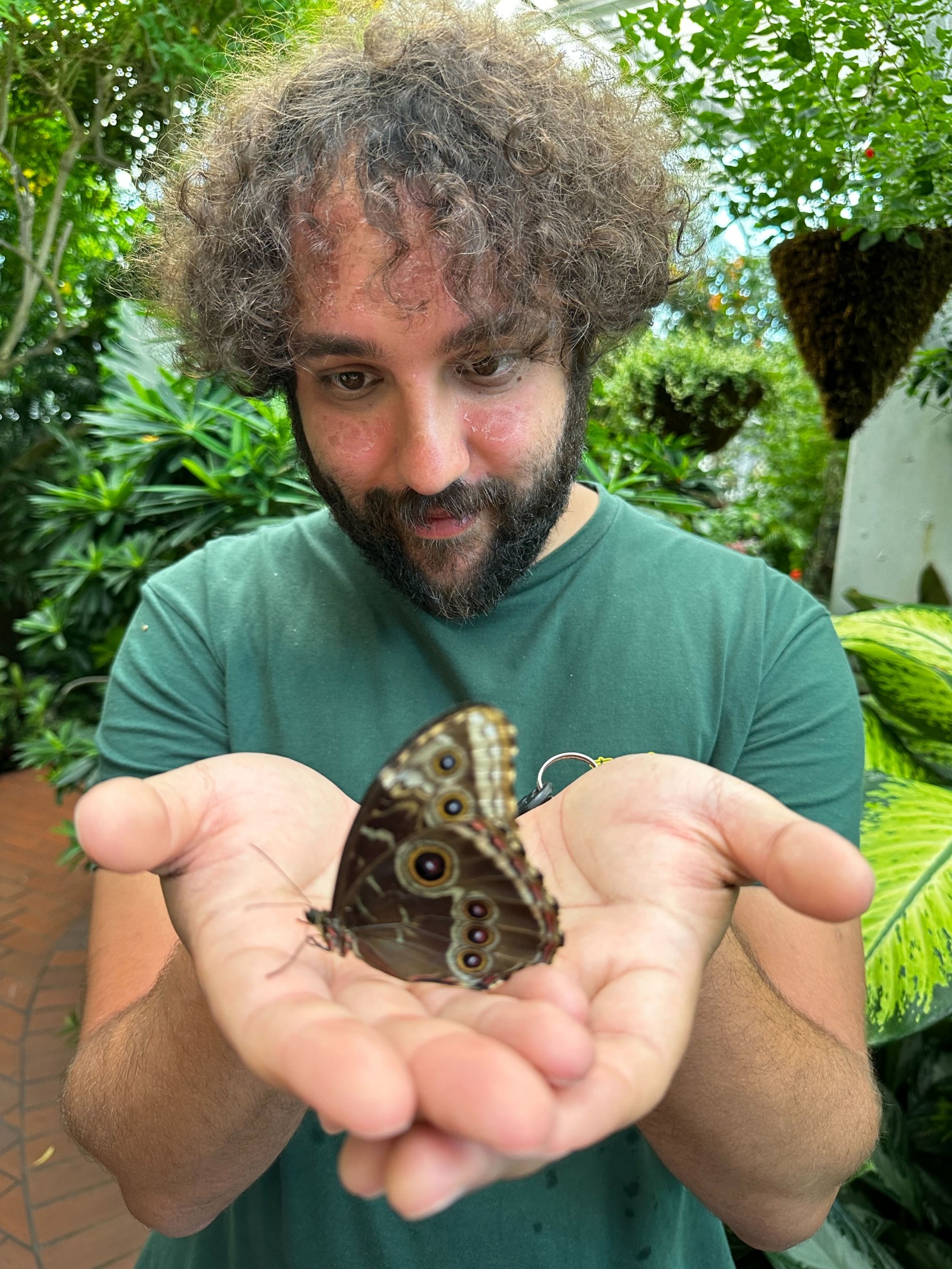 Moody Is This A Butterfly? Blank Template Imgflip