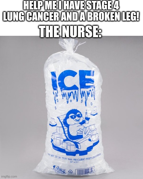 Bag of ice Memes Imgflip
