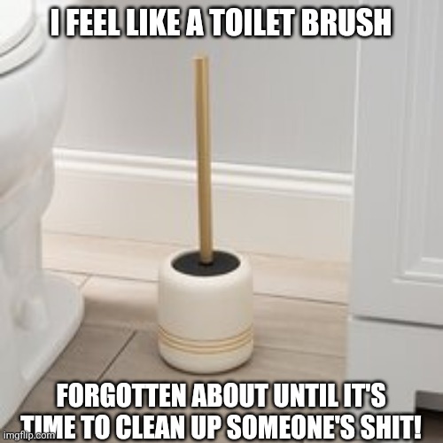 Feel like a toilet brush Imgflip