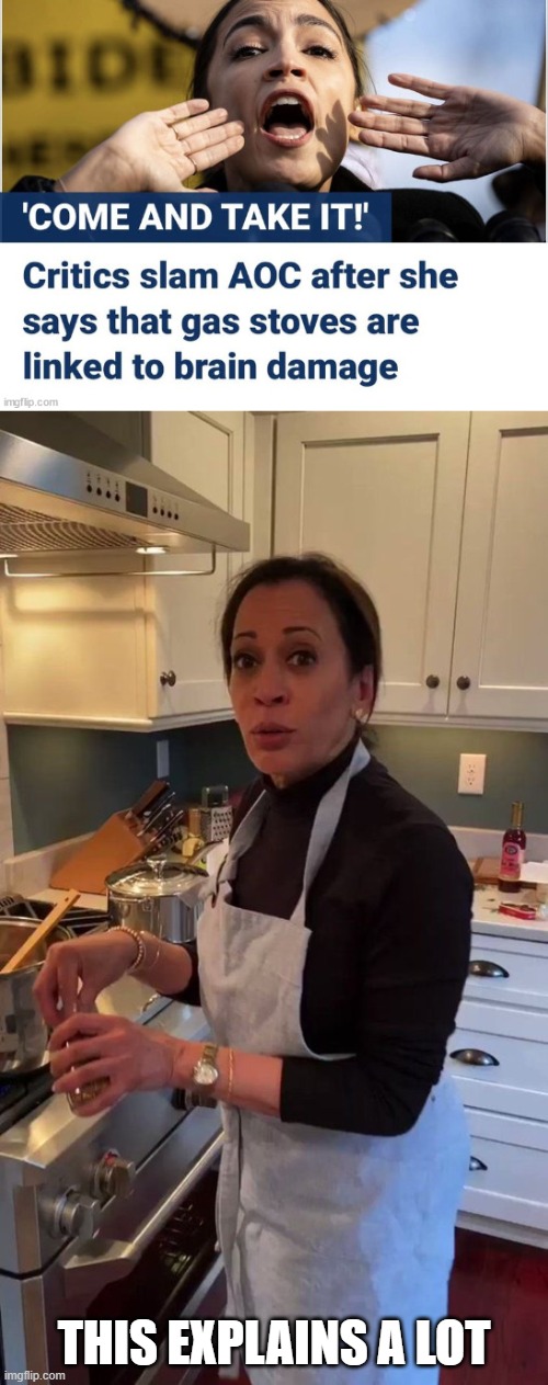 Gas stoves cause brain damage,, Imgflip