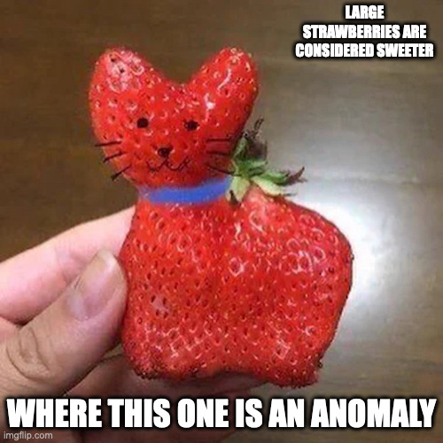 CatShaped Strawberry Imgflip
