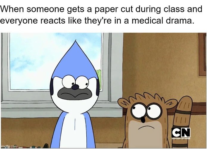 Image tagged in memes Imgflip