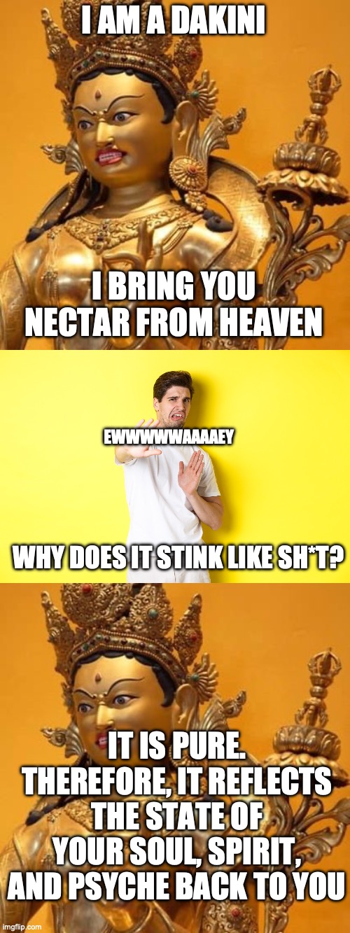 Roses Really Smell Like Poo Imgflip