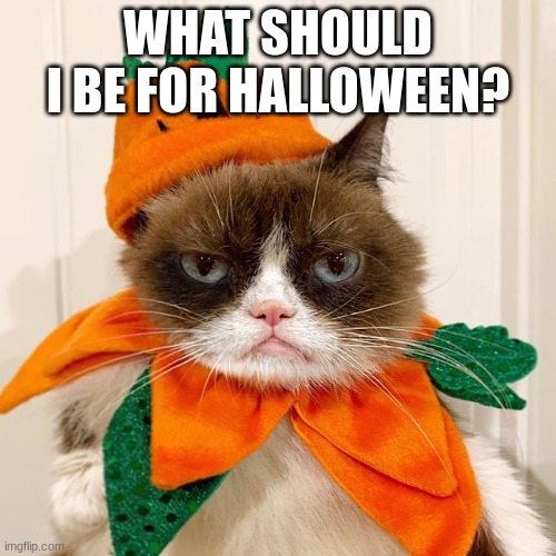 Grumpy Cat Halloween Imgflip
